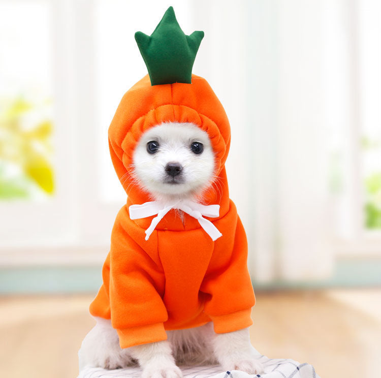 Cute Pet Hoodies