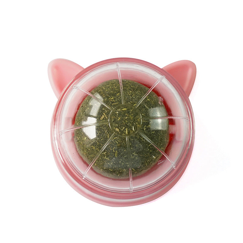 Pet Catnip Ball Toys