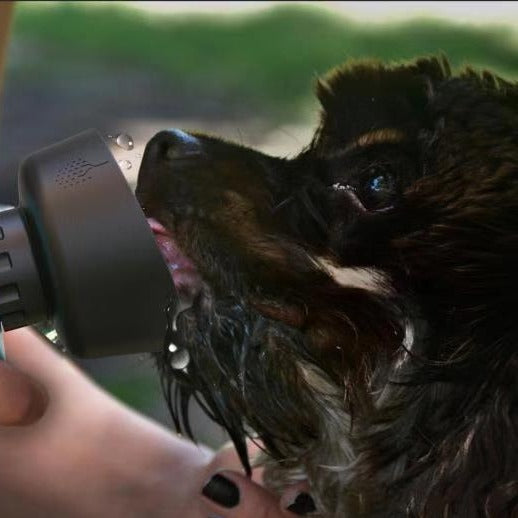 Traveling Water Bottle For Pets