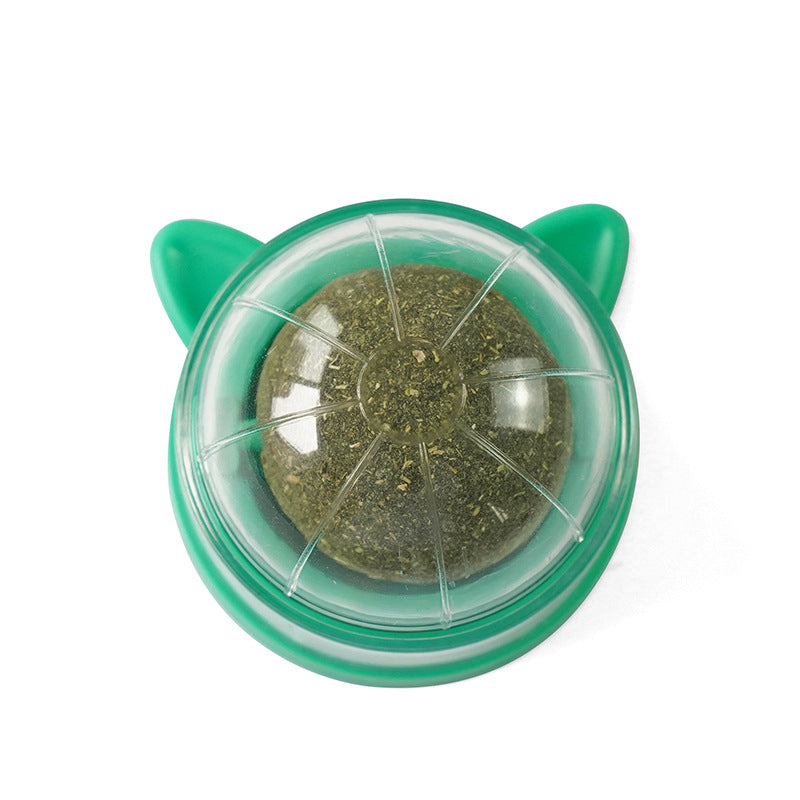 Pet Catnip Ball Toys