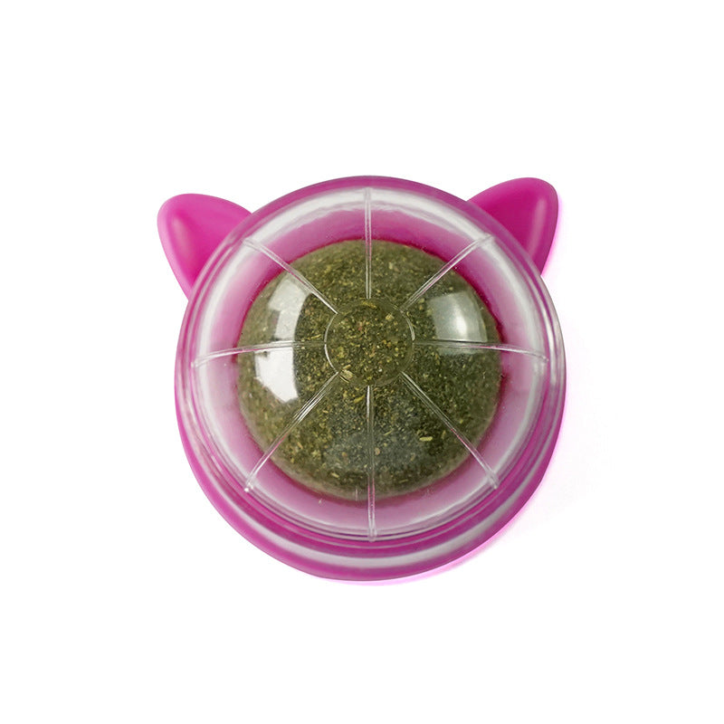 Pet Catnip Ball Toys