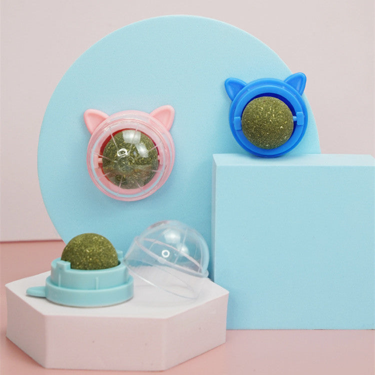 Pet Catnip Ball Toys