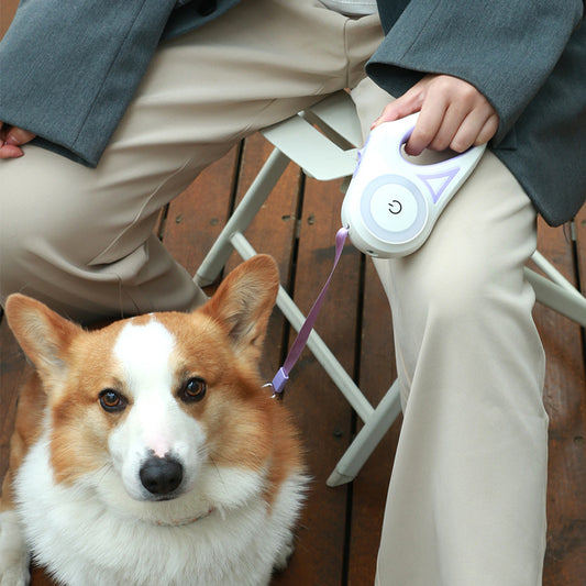 Retractable Dog Leash with LED Ligh