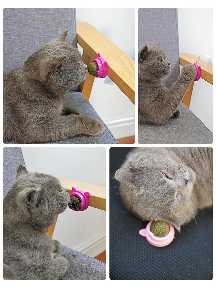 Pet Catnip Ball Toys